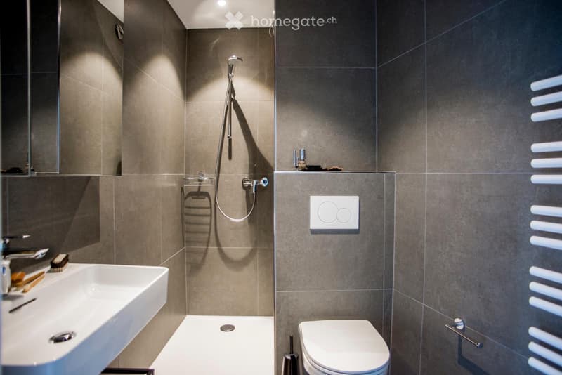 Joli appartement meublé par un designer (5)