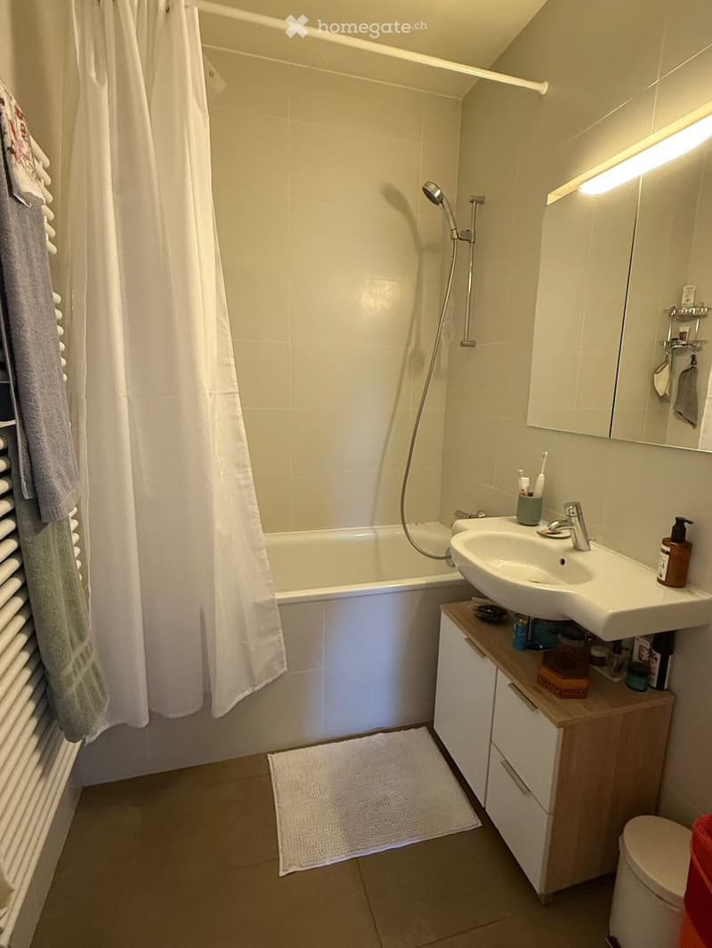 Appartement lumineux de 3 pièces avec balcon à Thônex (10)
