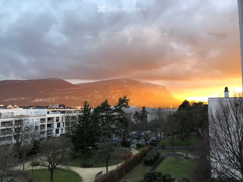 Appartement lumineux de 3 pièces avec balcon à Thônex (1)