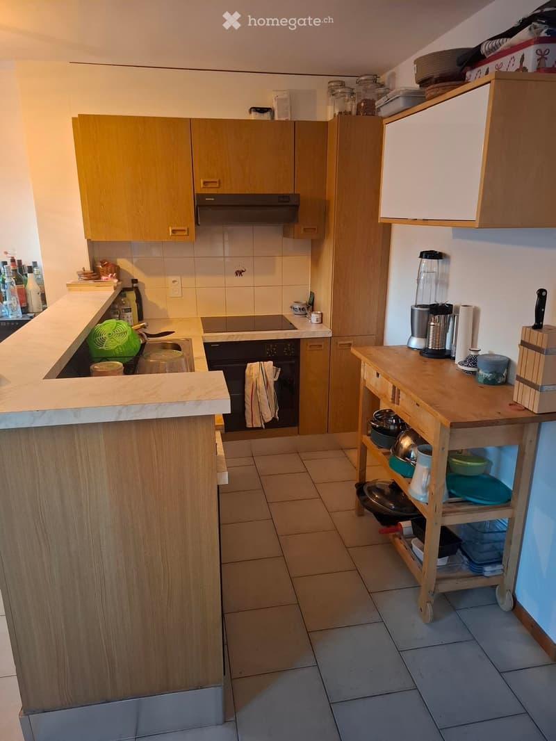 Charmant appartement en attique de 2 pièces à Perroy (3)