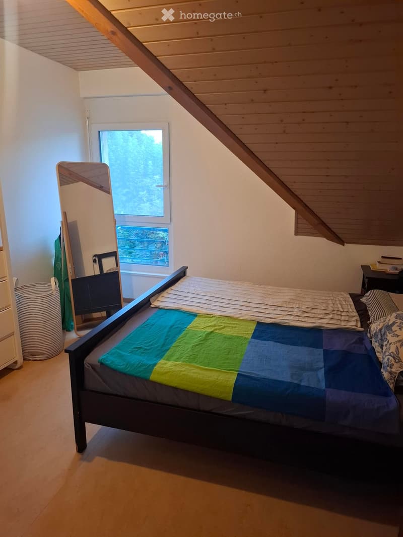 Charmant appartement en attique de 2 pièces à Perroy (5)