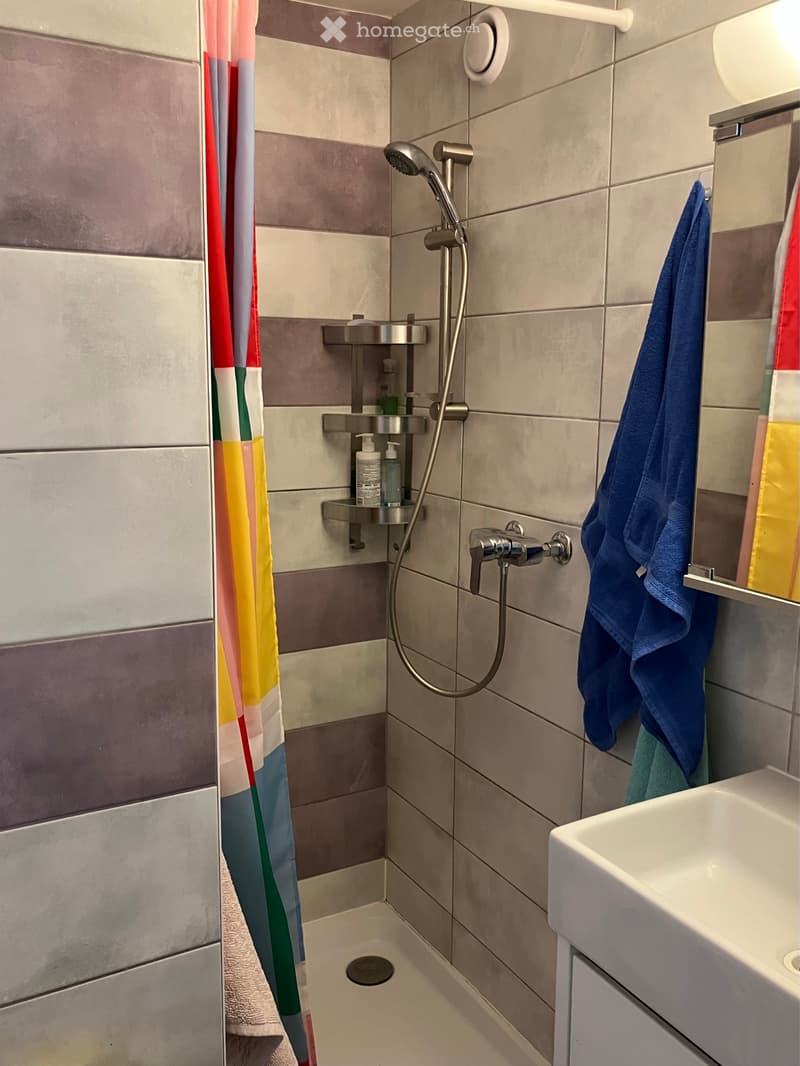 Appartement de 2,5 pièces à partir du 1er octobre 2026 (5)
