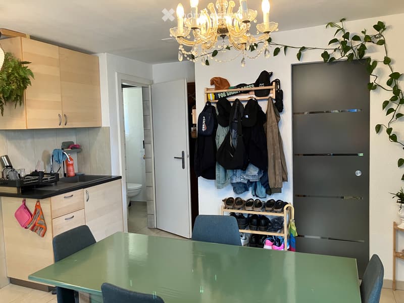 Appartement de 2,5 pièces à partir du 1er octobre 2026 (3)