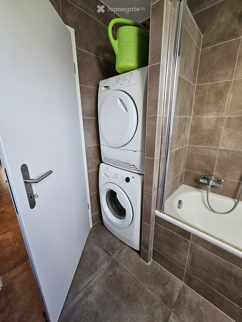 Appartement 3.5 pièces avec grand garage (5)