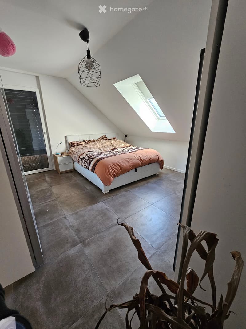 Appartement 3.5 pièces avec grand garage (8)