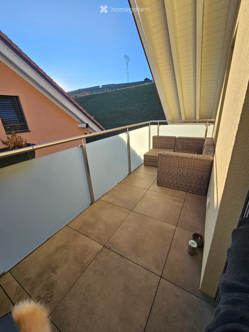 Appartement 3.5 pièces avec grand garage (2)