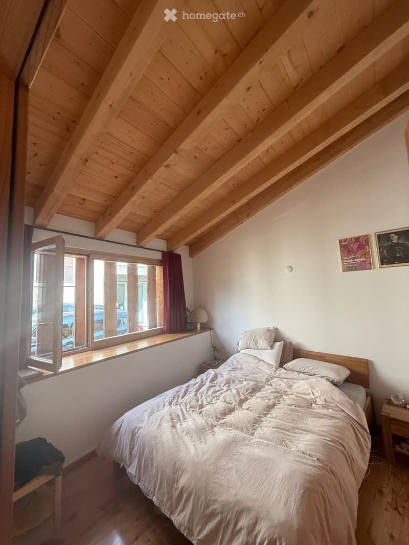 Bel appartement de 2 pièces Ancienne grange rénovée (4)