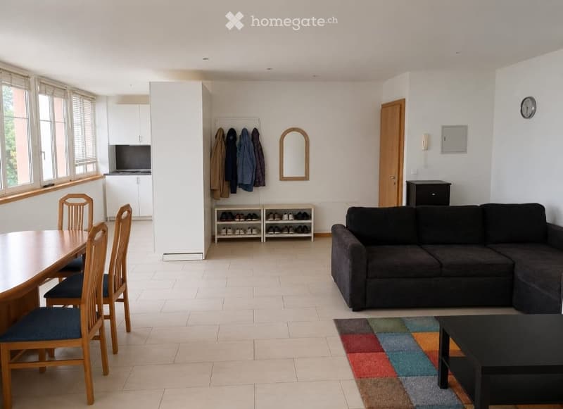 Magnifique appartement avec vue sur le lac (1)