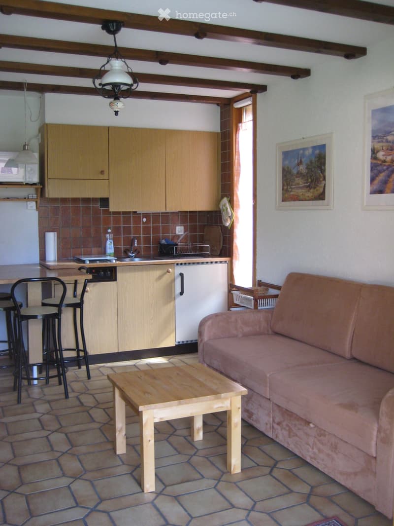 Appartement Les Mosses (4)