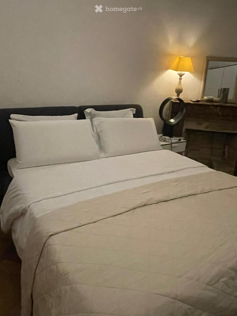 Private Room 1 Min to Tram Central Geneva (1)