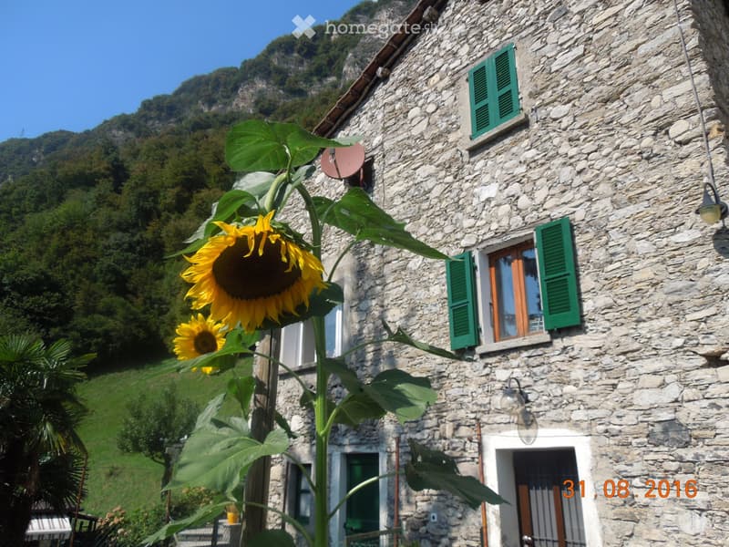 Vente maison familiale (3)