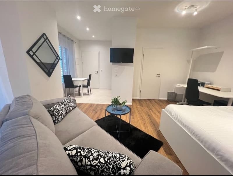 Studio meublé de 40m2, Pâquis / Gare Cornavin 1201 Genève (3)