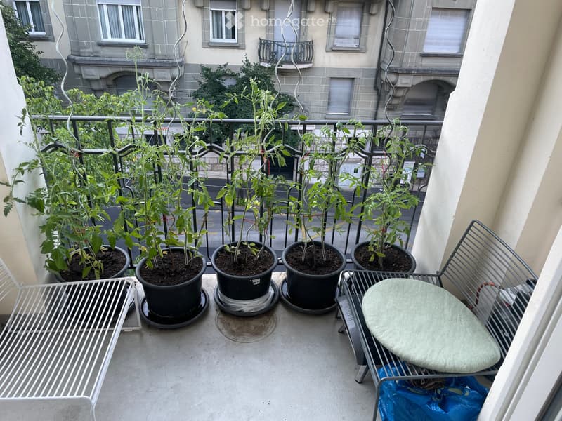 Appartement 4,5 pièces - Sous Gare Lausanne (4)
