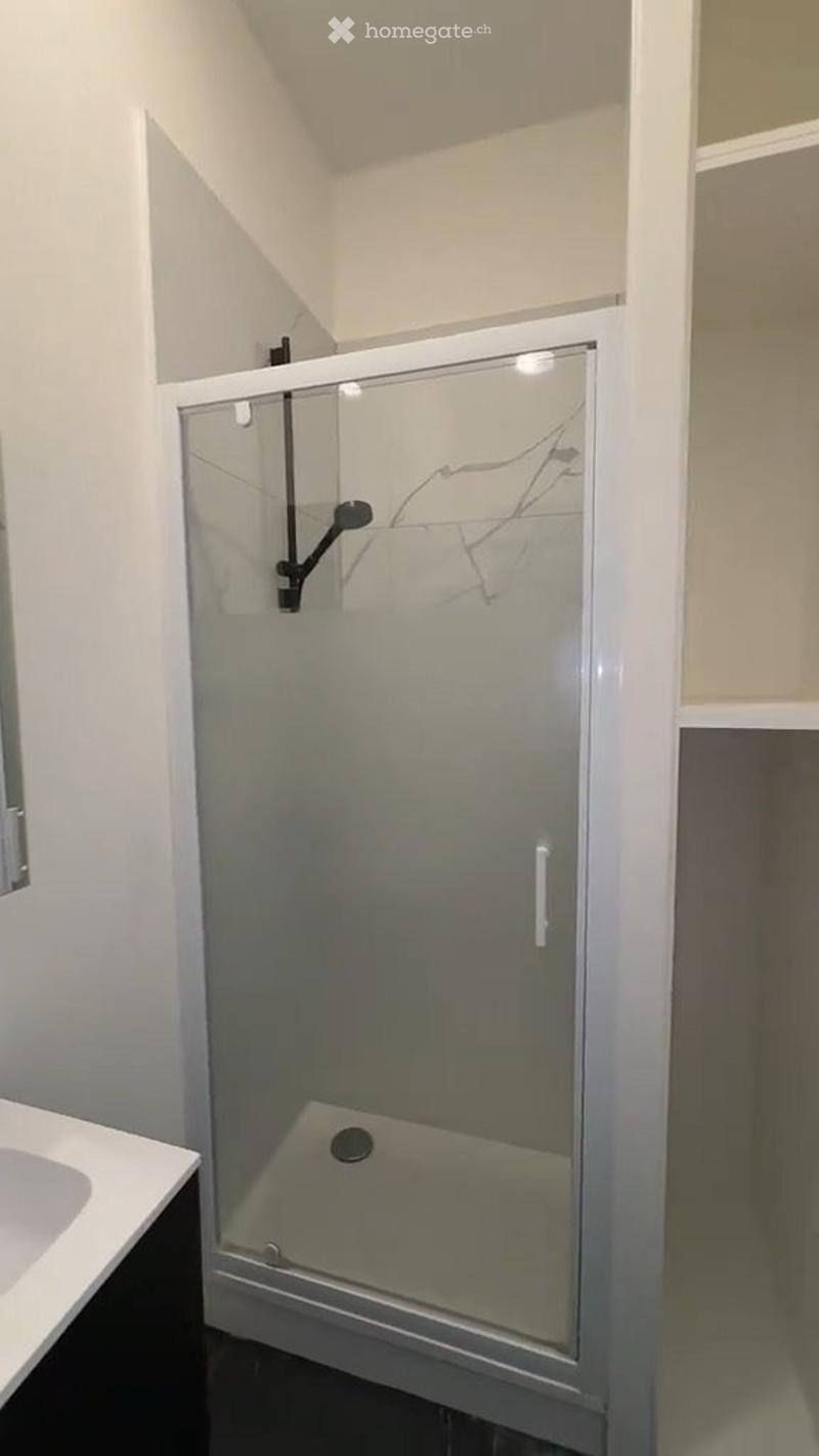 Superbe studio meublé de 1,5 pièce Wattstrasse 11 (4)