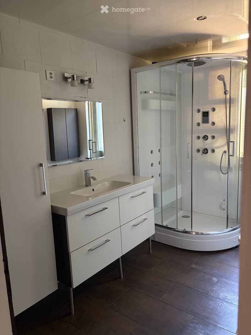 À louer Superbe duplex de 3½ pièces avec terrasse, garage (2)