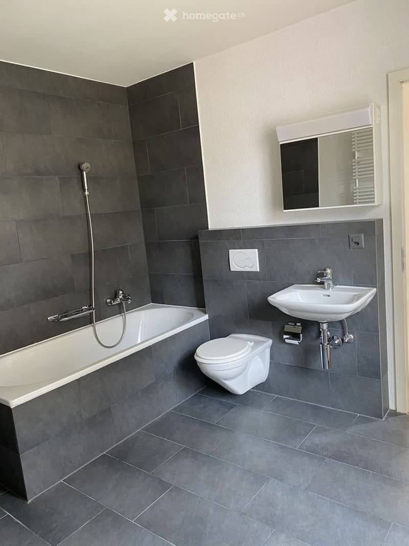 Grand appartement de charme (3)
