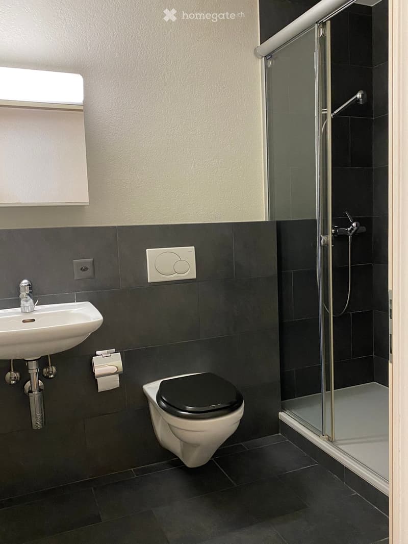 Grand appartement de charme (4)