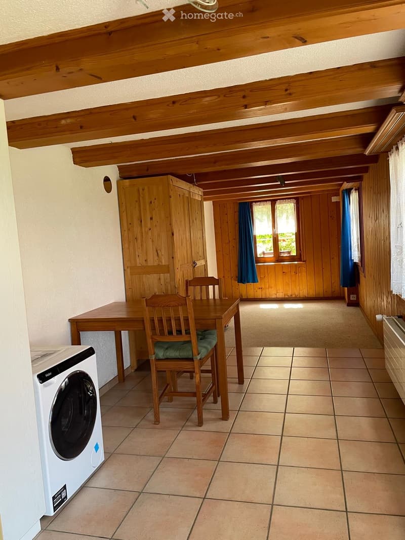 Studio in ruhiger Lage (1)