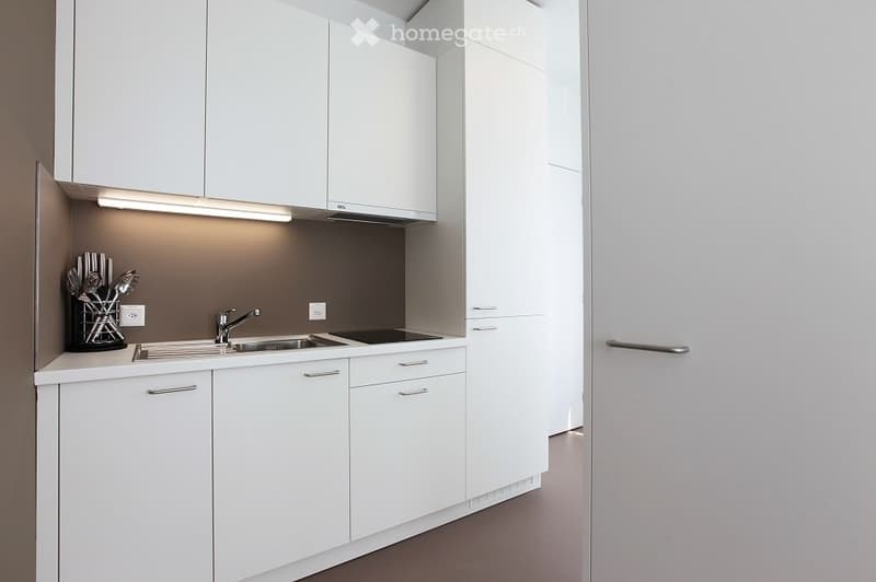 2,5 pièces et studios - meublés neufs Rennaz (VD) (3)