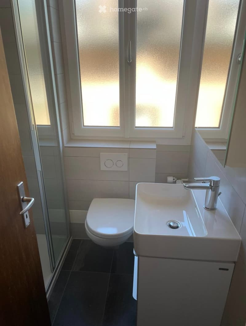 Chambre meublée à louer dans une colocation à Sion (5)