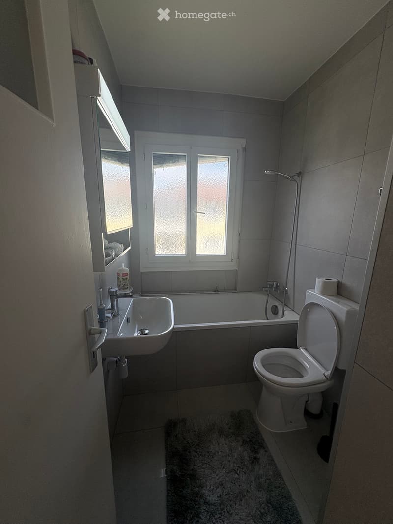 Magnifique appartement avec vue sur le lac (4)