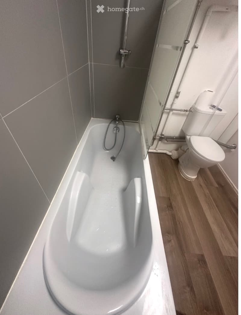 Appartement 2.5 pièces meublé ou vide Morez (5)