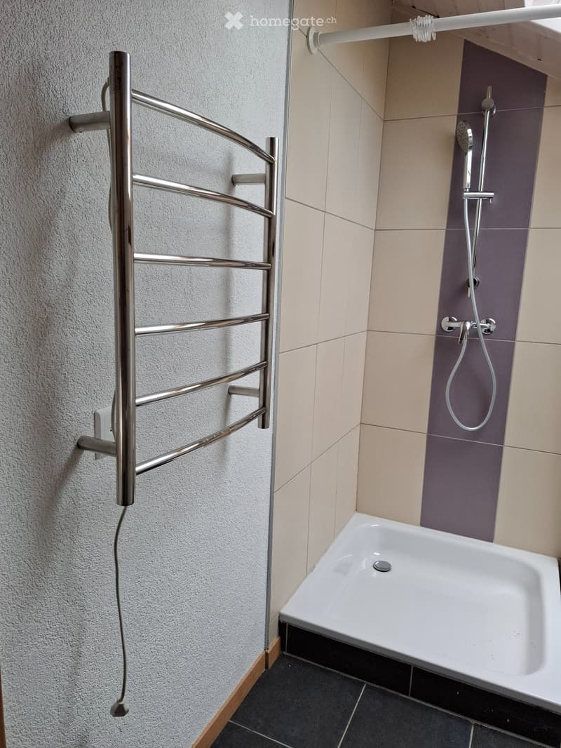 Appartement à louer à Vendlincourt (2)