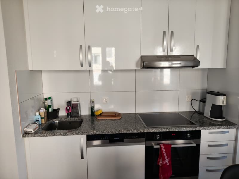 Bel appartement (4)