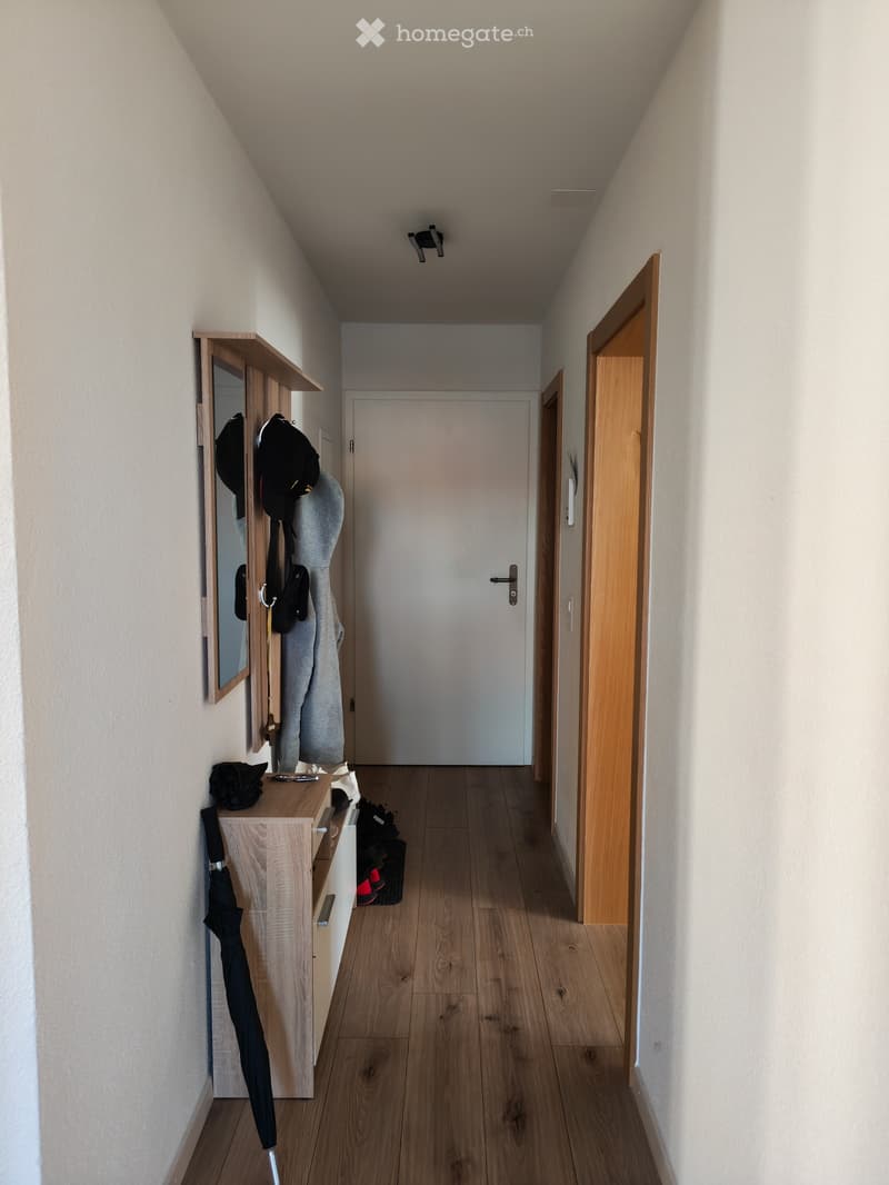 Bel appartement (3)