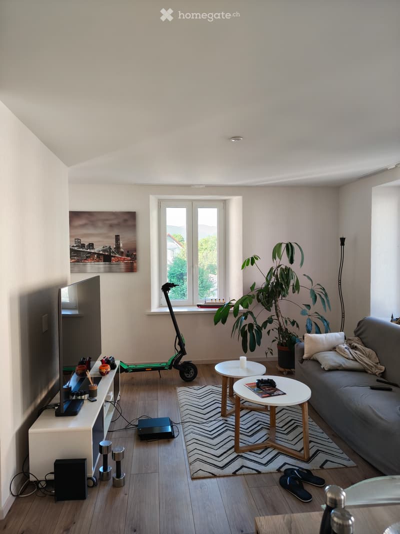 Bel appartement (5)