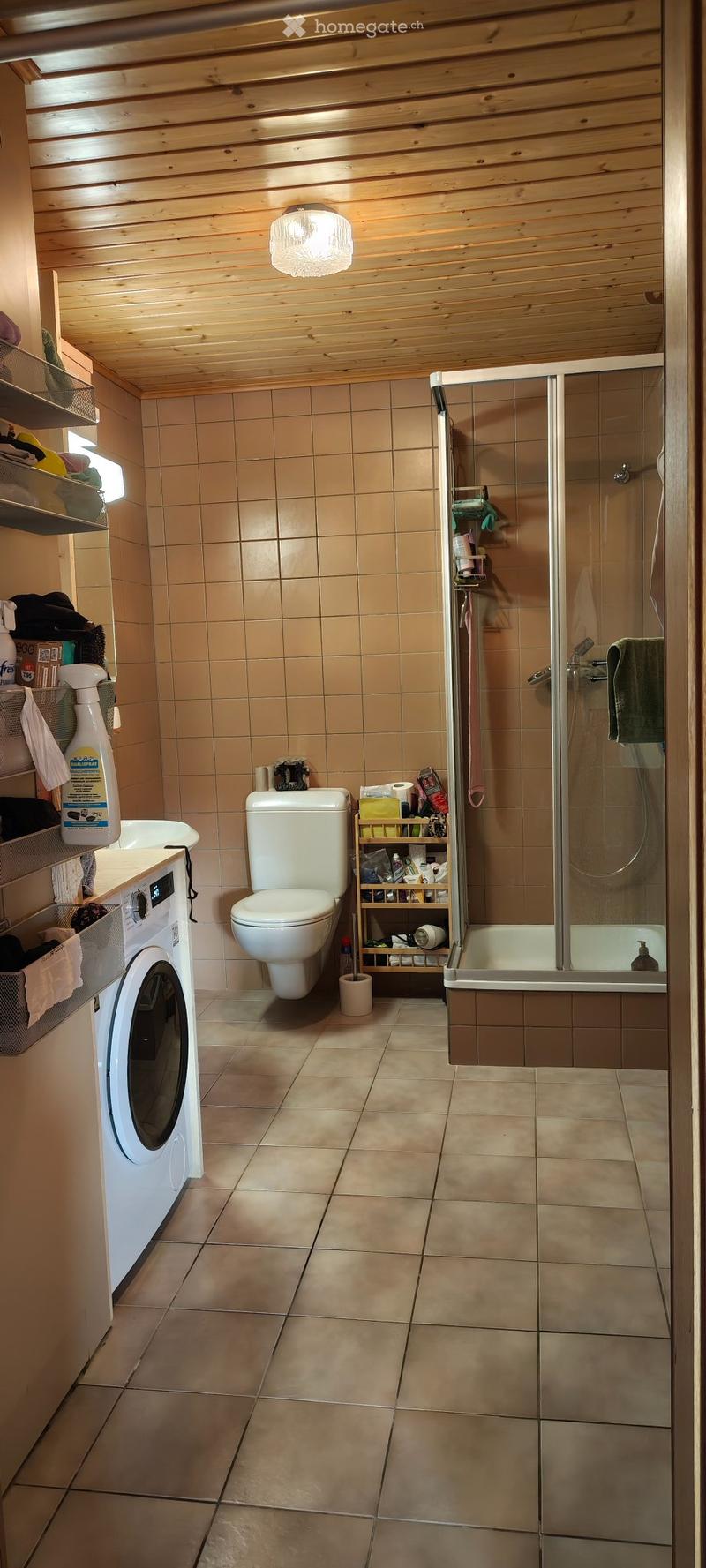 Reprise de bail - Grand 2.5pce - Villaz-st-pierre (5)