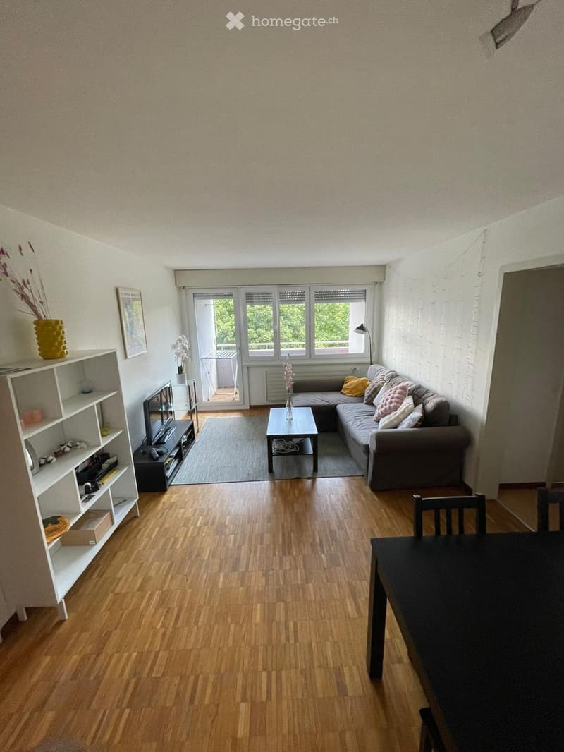 chambre libre fin août/début sept dans une coloc de 2 (1)