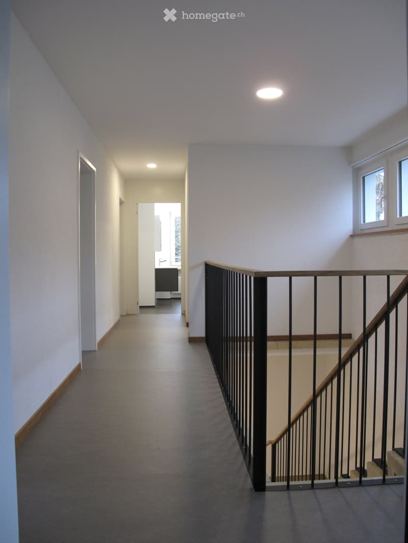 Freistehendes 6 1/2-Zimmer-Haus in Stadtnähe (10)
