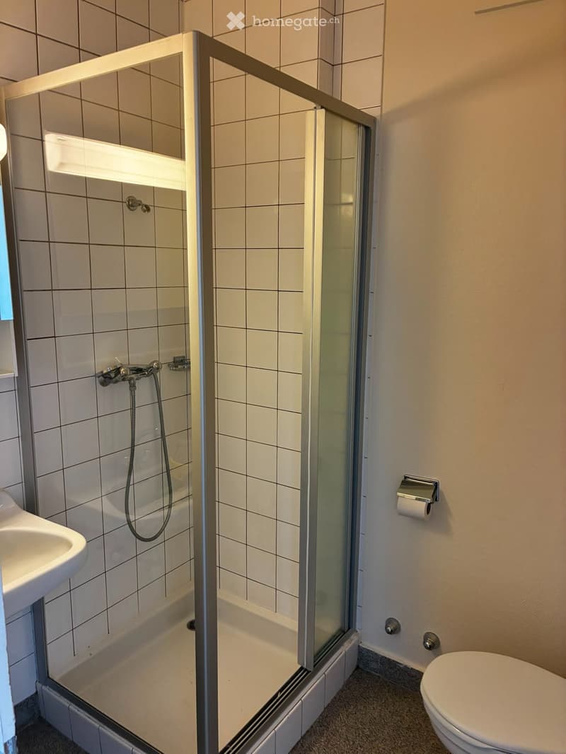 Charmant appartement de 2 pièces à Carouge (3)