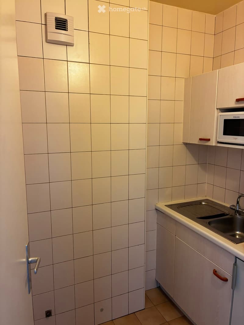 Charmant appartement de 2 pièces à Carouge (2)