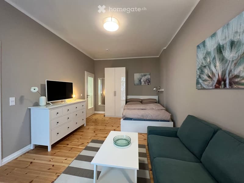 studio meublé de 35 m² avec balcon (1)