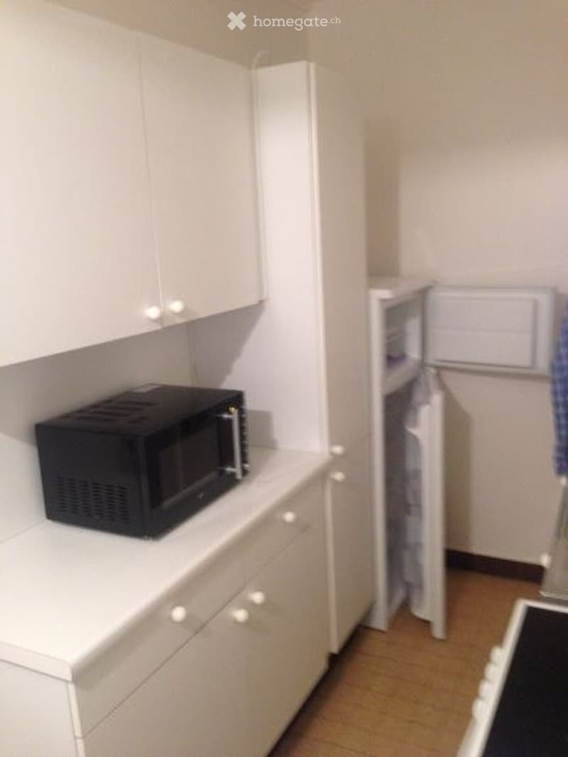 Appartement 2 pièces meublé 40m2 (4)
