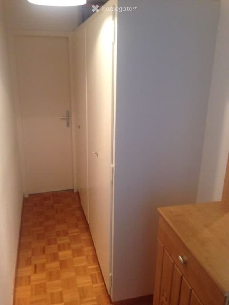 Appartement 2 pièces meublé 40m2 (3)