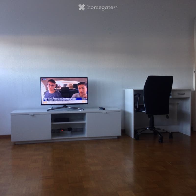Appartement 2 pièces meublé 40m2 (2)