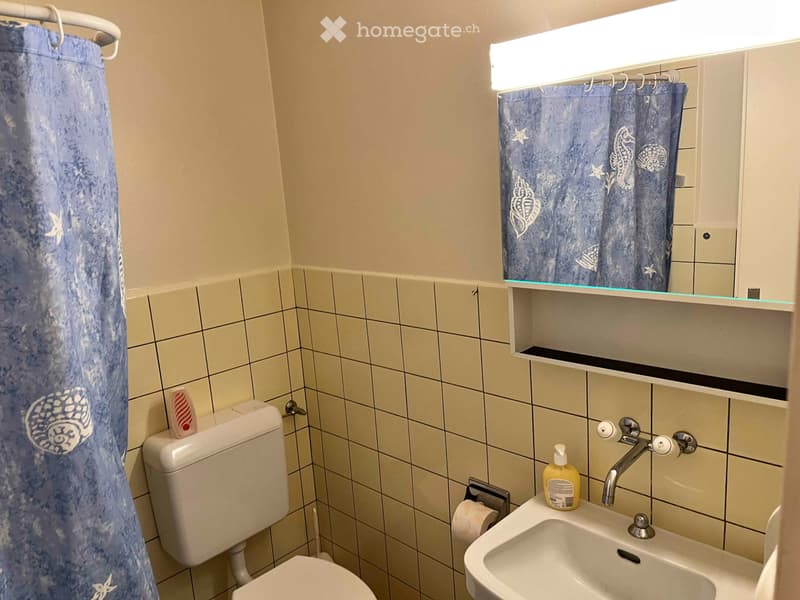 Appartement 2 pièces meublé 40m2 (5)