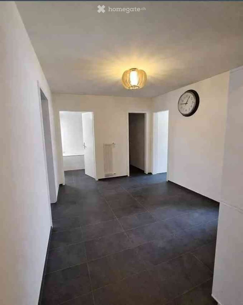 4.5 DE 92 M2 RÈNOVÈ A 7 MINUTES À PIED DE LA GARE DE AIGLE (2)