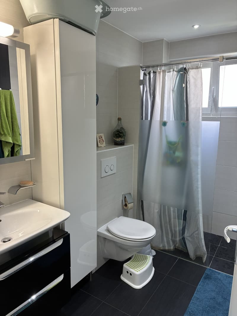 Appartement lumineux 3,5 pièces (2)