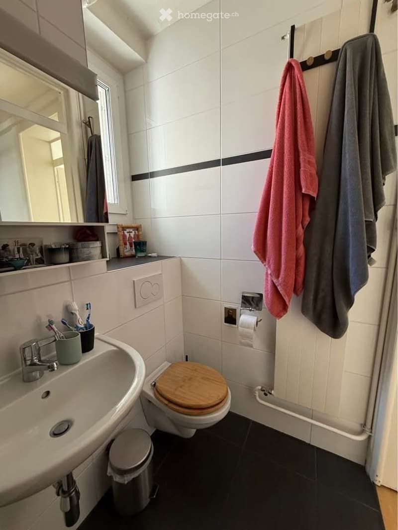 Lausanne Appartement 3.5 pièces (10)