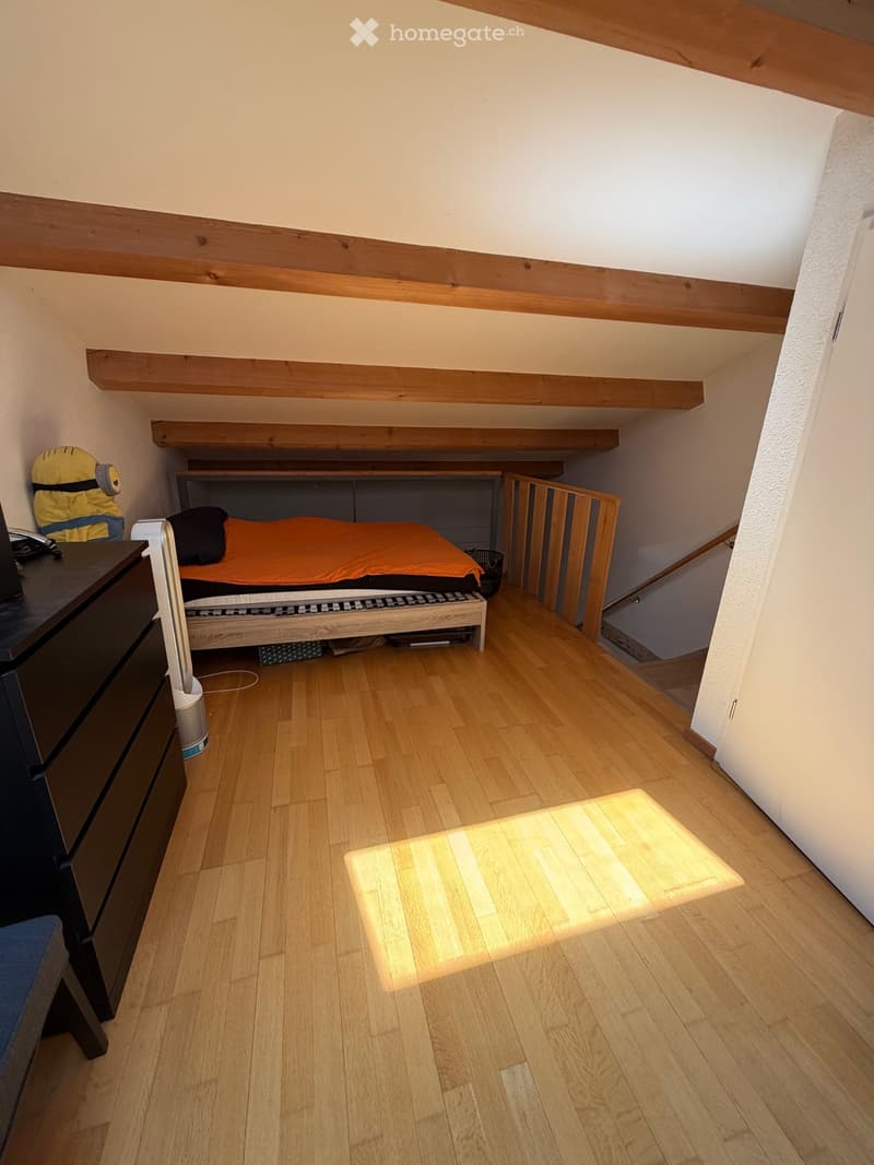 Reprise de Bail Triplex Dardagny (5)