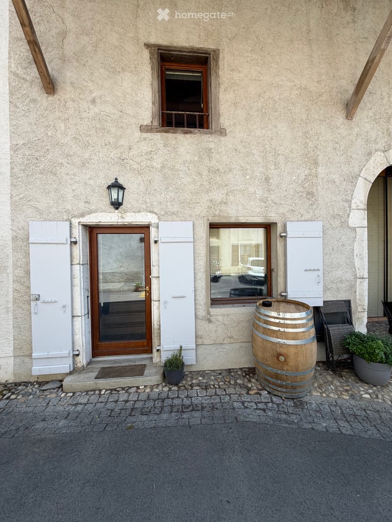 Reprise de Bail Triplex Dardagny (1)