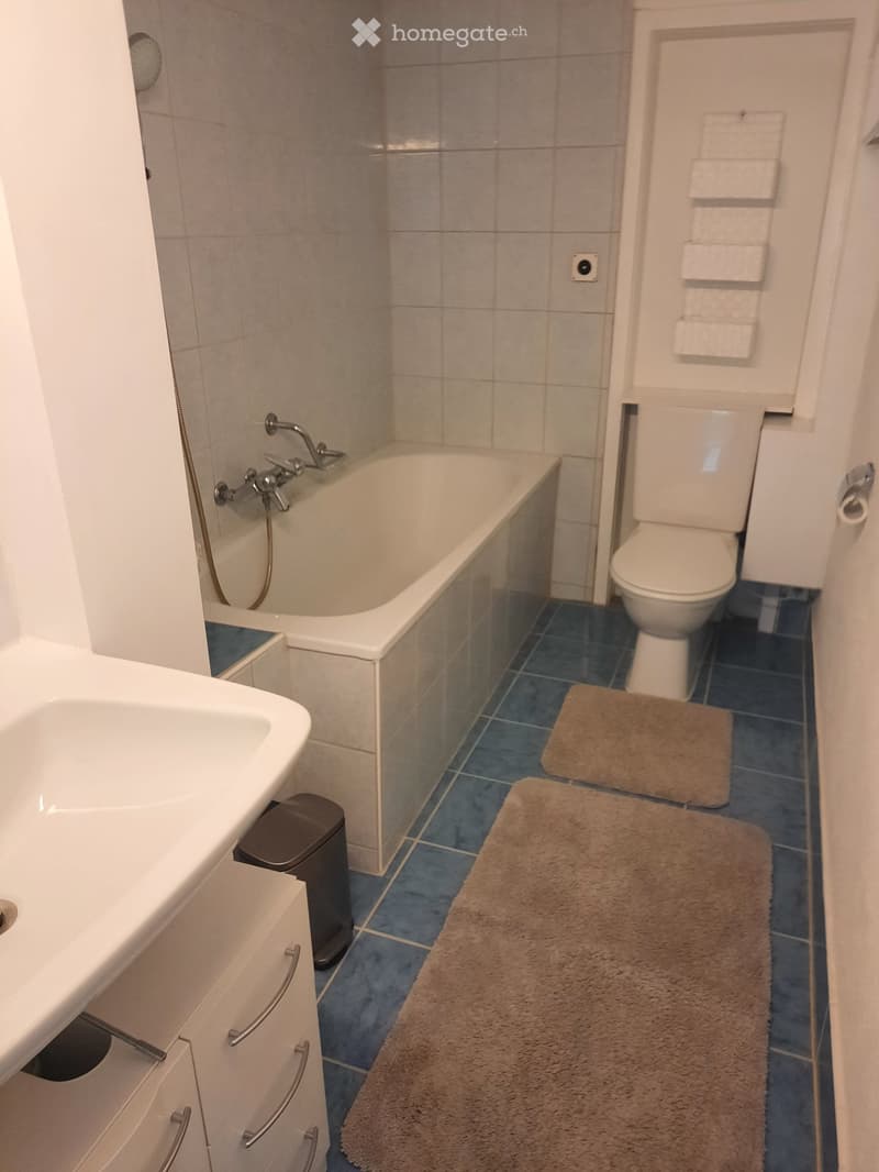 2 Zimmerwohnung im Züri Oberland (5)