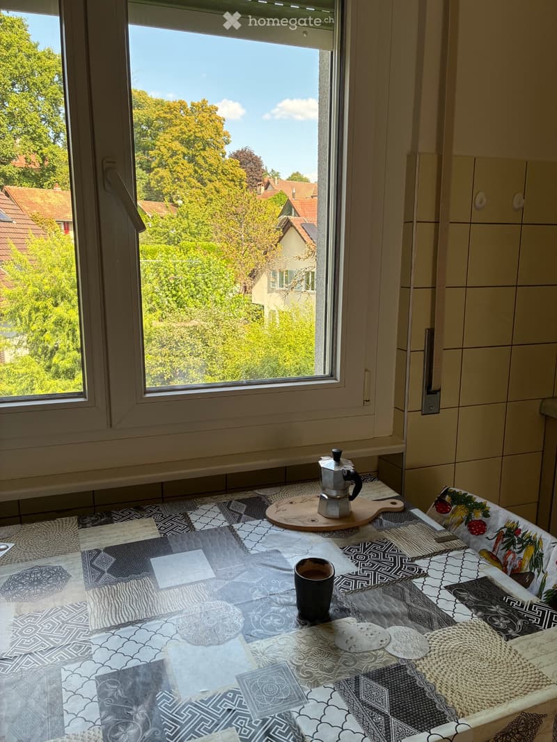 Jolie appartement à remettre à Chailly (3)