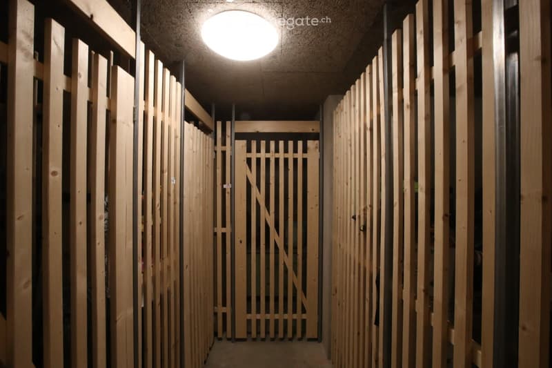 Joli 3.5 à louer au centre de St-Romain sur Ayent (4)