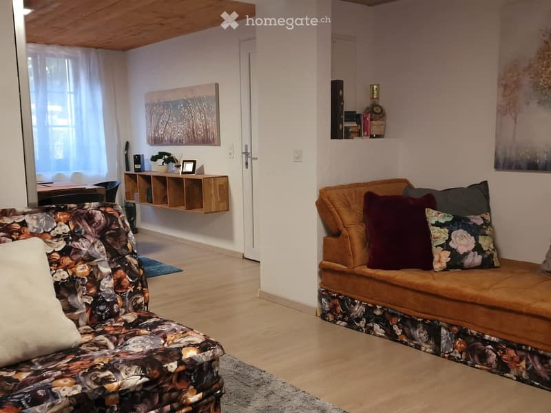 Grand 3.5 avec terrasse (3)