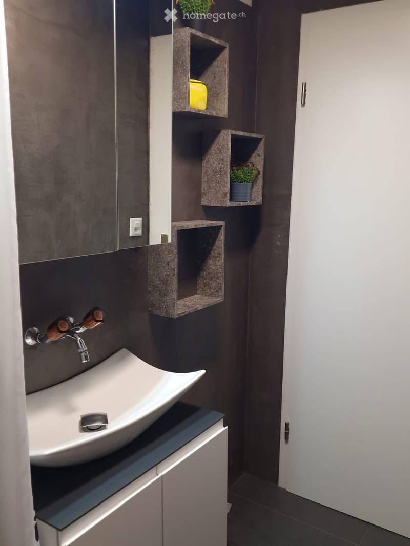 Grand 3.5 avec terrasse (2)
